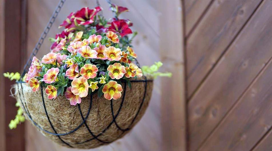 Hanging basket